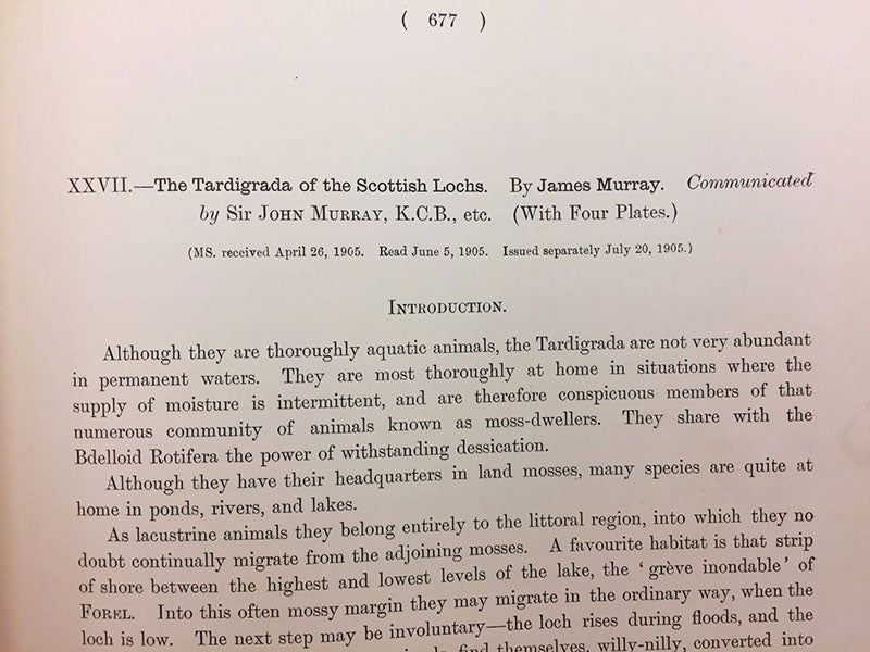 First paragraph of article on tardigrades from Scottish lochs, by James Murray, in Transactions of the Royal Society of Edinburgh, vol. 41, 1905 (Linda Hall Library)