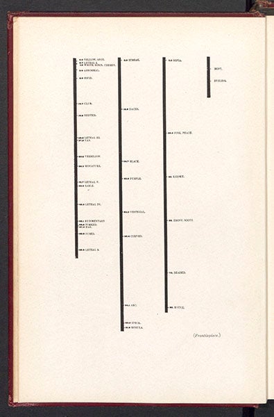Four groups of Drosophila characters, sorted by their linkages to other characters, frontispiece to T.H. Morgan et al, Mechanism of Mendelian Heredity, 1915 (Linda Hall Library)
