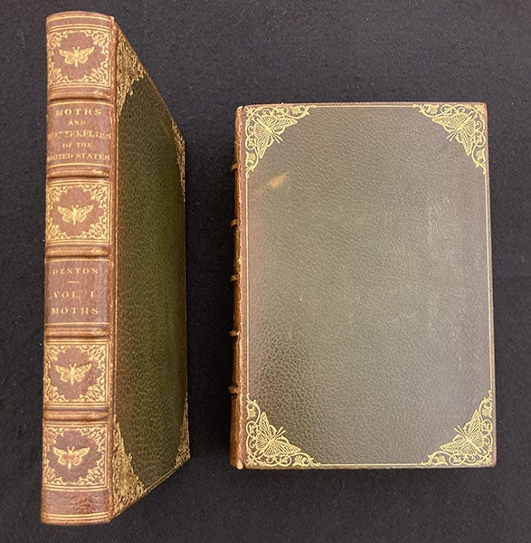 Decorative bindings of vols.1 and 2 of the library’s set of As Nature Shows Them: Moths and Butterflies of the United States, by Sherman Foote Denton, 1900 (Linda Hall Library)
