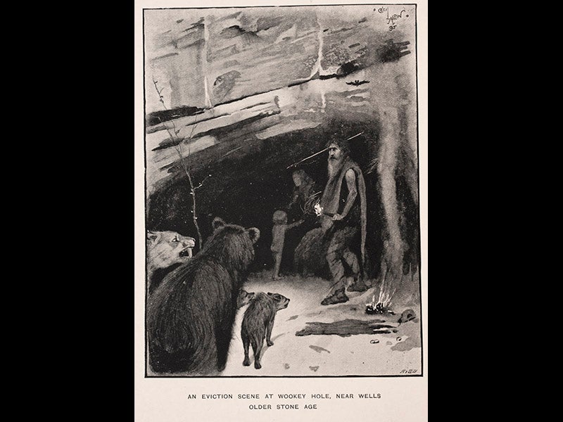 hum023001, 10/15/10, 1:55 PM,  8C, 6000x8000 (0+0), 100%, lhl,  1/60 s, R62.0, G48.2, B58.1