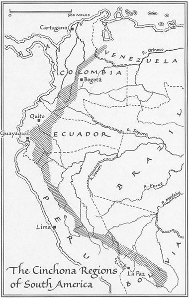 The Cichona regions of South America, map by Stephen Raw, used with permission by Tom Taylor, Pyretologia (Alibi 3), 2022 (photo by Tom Taylor)