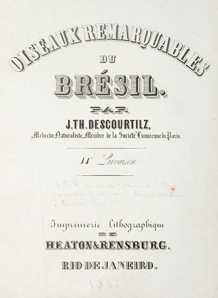 Title page, lithographed, Jean-Théodore Descourtilz, Oiseaux remarquables du Brésil, 1843 (LSU Libraries Special Collections)