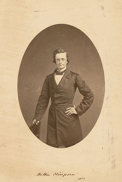 Portrait of William Stimpson, photograph, 1860, National Portrait Gallery, Smithsonian Institution (npg.si.edu)