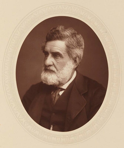 Portrait of an older Hormuzd Rassam, Woodburytype, ca 1881, National Portrait Gallery, London (npg.og.uk)