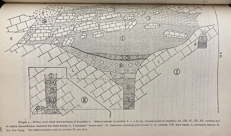 Diagram of the deposits at Locality 1 at Chou Kou Tien; Pei found the Sinanthropus skull at the very bottom of heap of deposits at bottom center, in a tiny cave, shown in an inset at left and marked “SE”, from a paper by Pierre Teihard du Chardin and G.C. Young in Bulletin of the Geological Society of China, vol. 8, 1929 (Linda Hall Library