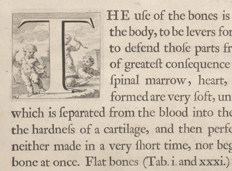 An engraved initial letter “T”, showing putti digging up a skeleton in a graveyard, detail of the first page of the Introduction to Osteographia, or the Anatomy of the Bones, by William Cheselden, 1733, National Library of Medicine (nlm.nih.gov)