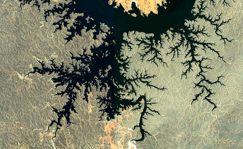 Coastline of Lake Nasser, Egypt, from Google Earth (paulbourke.net)
