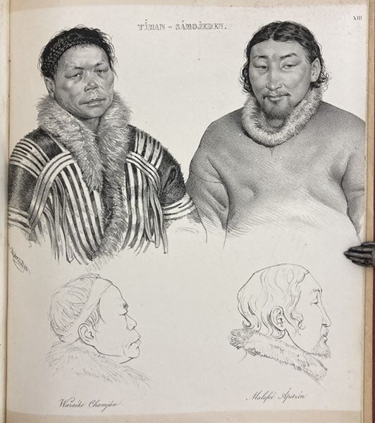 Two of the indigenous Nenet (Samoyed) peoples Middendorff encountered on the journey to the Taymyr Peninsula, lithograph in Reise in den äussersten Norden und Osten Sibiriens während der Jahre 1843 und 1844, by Alexander von Middendorff, vol. 4, pt. 2, plate 13, 1867 (Linda Hall Library)