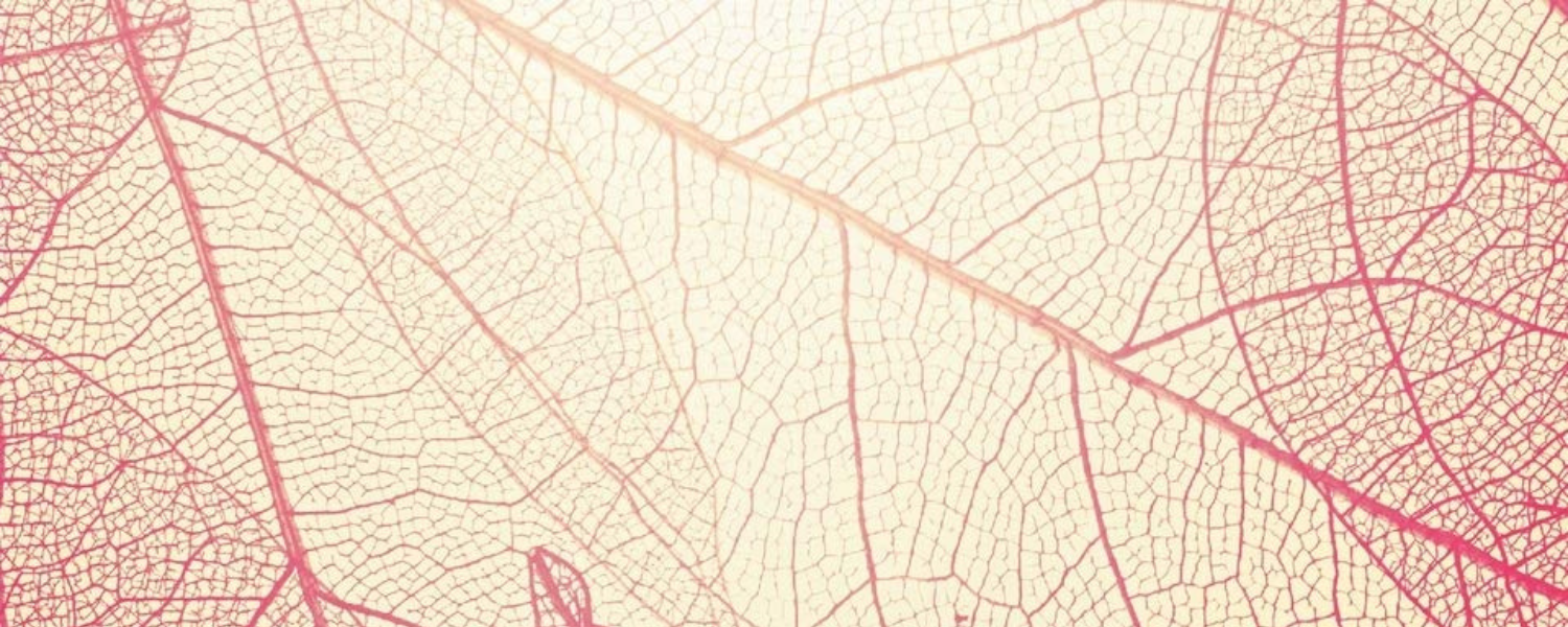 Working-Class Environmentalism: An Agenda for a Just and Fair Transition to Sustainability by Karen Bell