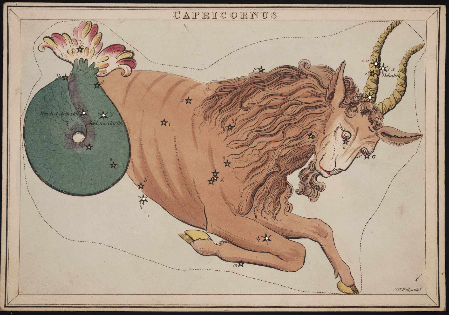 Richard Rouse Bloxam Urania's Mirror Capricornus