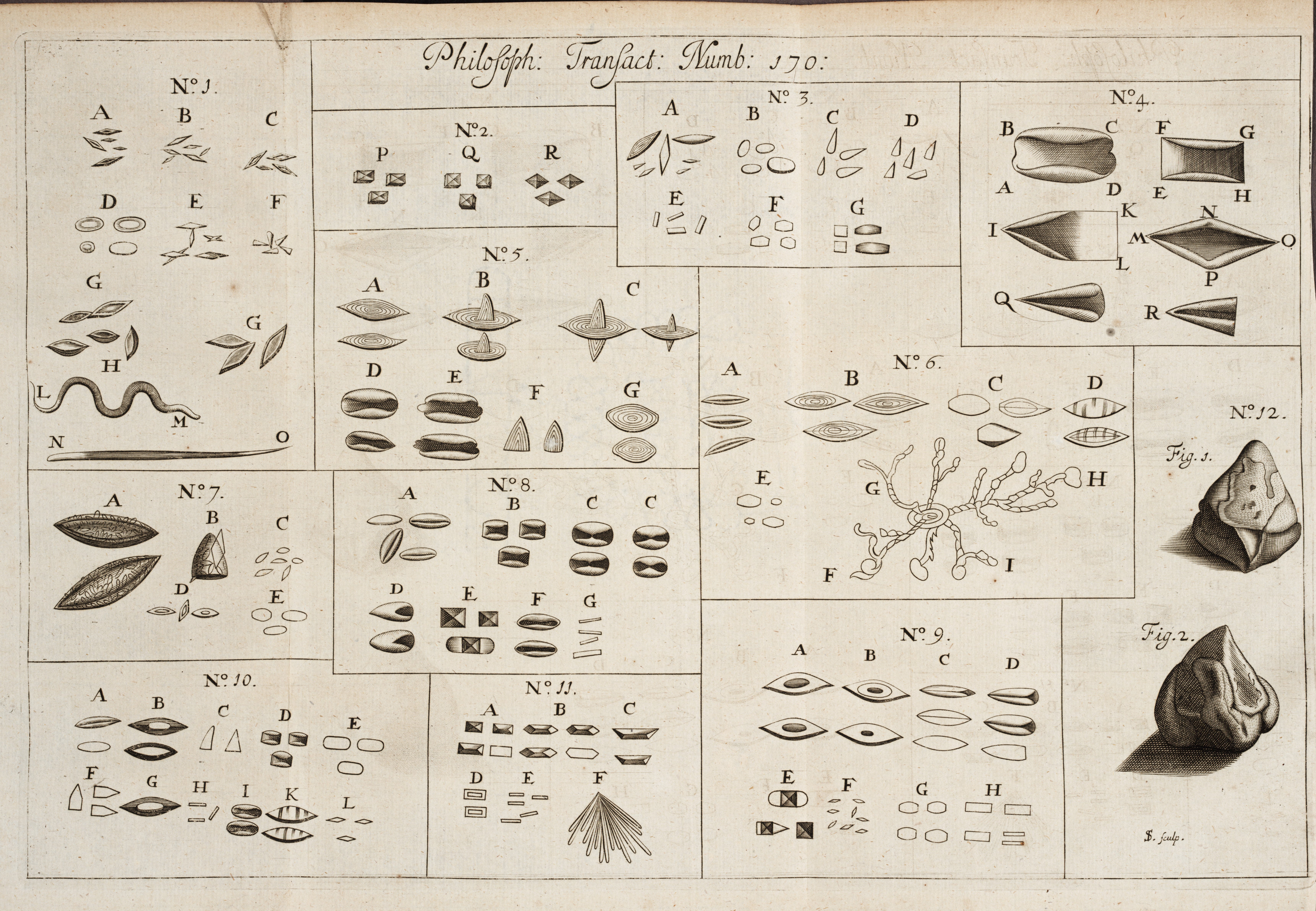 Anthony van Leeuwenhoek became fascinated with the microscopic world. He made over 500 microscopes and with these instruments discovered blood and sperm cells in animals, and determined how fertilization occurred. He discovered microscopic nematodes and rotifers, and was the first to see microscopic foramnifera. This work, by Susan Lister, describes discovery of wine salts and the nematode commonly known as vinegar eel. 
