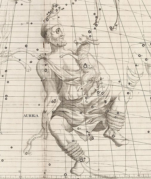 Detail of Auriga, constellation figured by James Thornhill, with star positions determined by John Flamsteed, in Atlas coelestis, plate [16], 1729 (Linda Hall Library)
