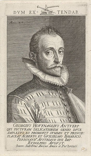 Portrait of Joris Hoefnagel, engraving by Jan Sadeler I, 1592, Rijksmuseum (Wikimedia commons)