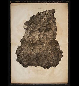 Karl von Schreibers - Linda Hall Library