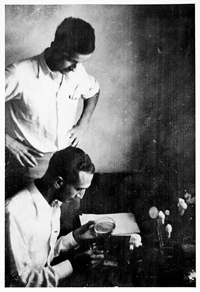 Salvador Luria (<i>seated)</i> and Max Delbrück at Cold Spring Harbor Laboratory, 1941 (National Library of Medicine)