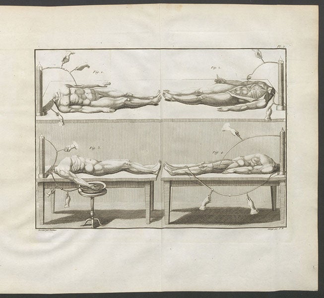 Attempts to animate human cadavers with Voltaic piles, complete page with engraving, Essai théorique et expérimental sur le galvanisme, by Giovanni Aldini, plate 3 at end, 1804 (Linda Hall Library)