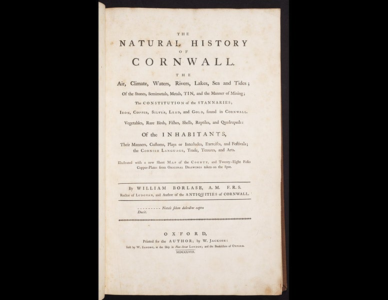 1115_001, 2/1/18, 9:05 AM,  8C, 5074x8000 (625+0), 100%, Custom,  1/60 s, R69.3, G55.9, B65.8