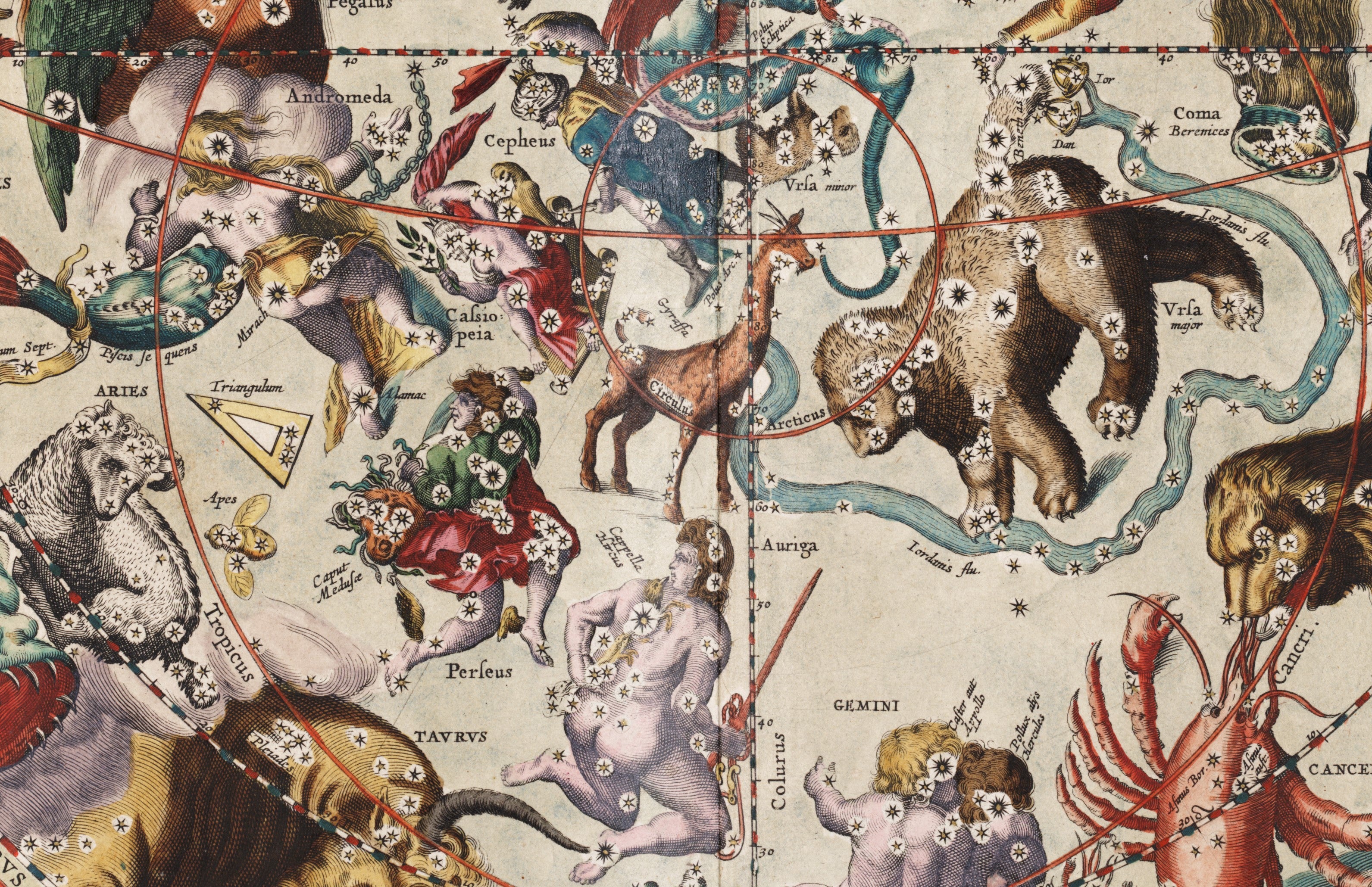 The northern constellations, including Cepheus and Ursa Major. Image source: Cellarius, Andreas. Harmonia macrocosmica. Amsterdam: apud Joannem Janssonium, 1661, pp. 186-187.