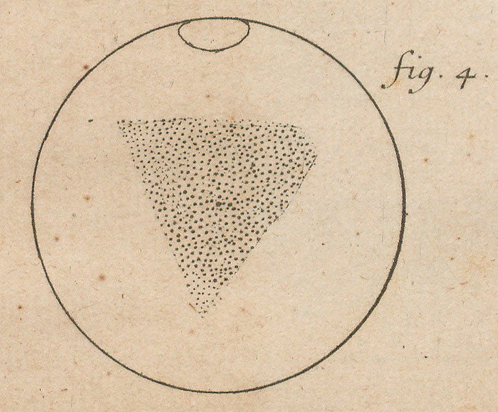 Surface features of Mars as sketched by Giacomo Maraldi in 1719; the drawing greatly resembles Syrtis Major(<I>detail of fourth image</I>) (Linda Hall Library)