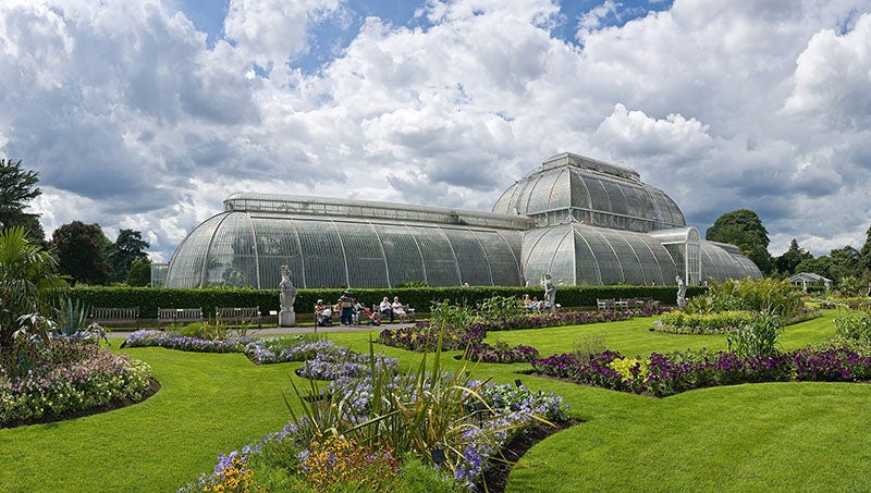 Palm House, Kew Gardens, London, iron-and-glass structure designed by Decimus Burton and built by Richard Turner, 1848 (Wikimedia commons)