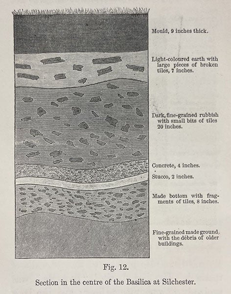 Section from the ruins of the basilica at Silchester, with 9 inches of vegetable mound lying atop layers of building tiles and even concrete, wood engraving in The Formation of Vegetable Mould, through the Action of Worms, by Charles Darwin, p. 206, 1881 (Linda Hall Library)