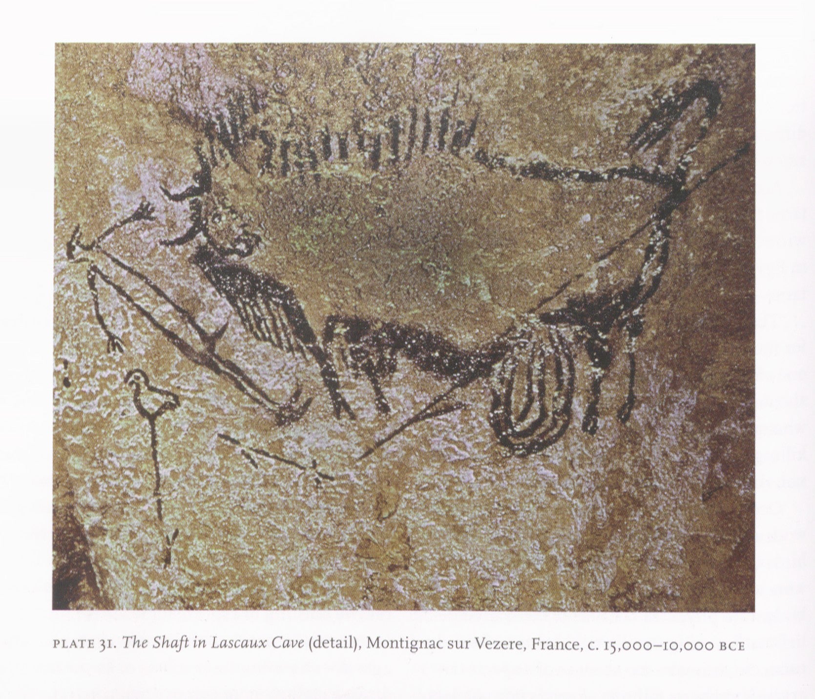 From Lascaux Caves in France, this image of the "Bird Man" is the earliest known depiction of a bird. Darryl Wheye and Donald Kennedy. Humans, Nature, and Birds: Science Art from Cave Walls to Computer Screens, New Haven, 2008. 