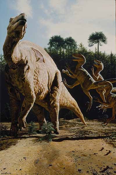 <i>Iguanodon attacked by Deinonychus</i>, painting by John Gurche (www.gurche.com)