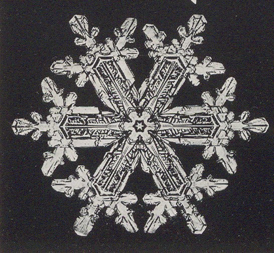 An elaborate snow crystal, photomicrograph, detail of plate 147, Snow Crystals, by Wilson A. Bentley and William J. Humphreys, 1931 (Linda Hall Library)