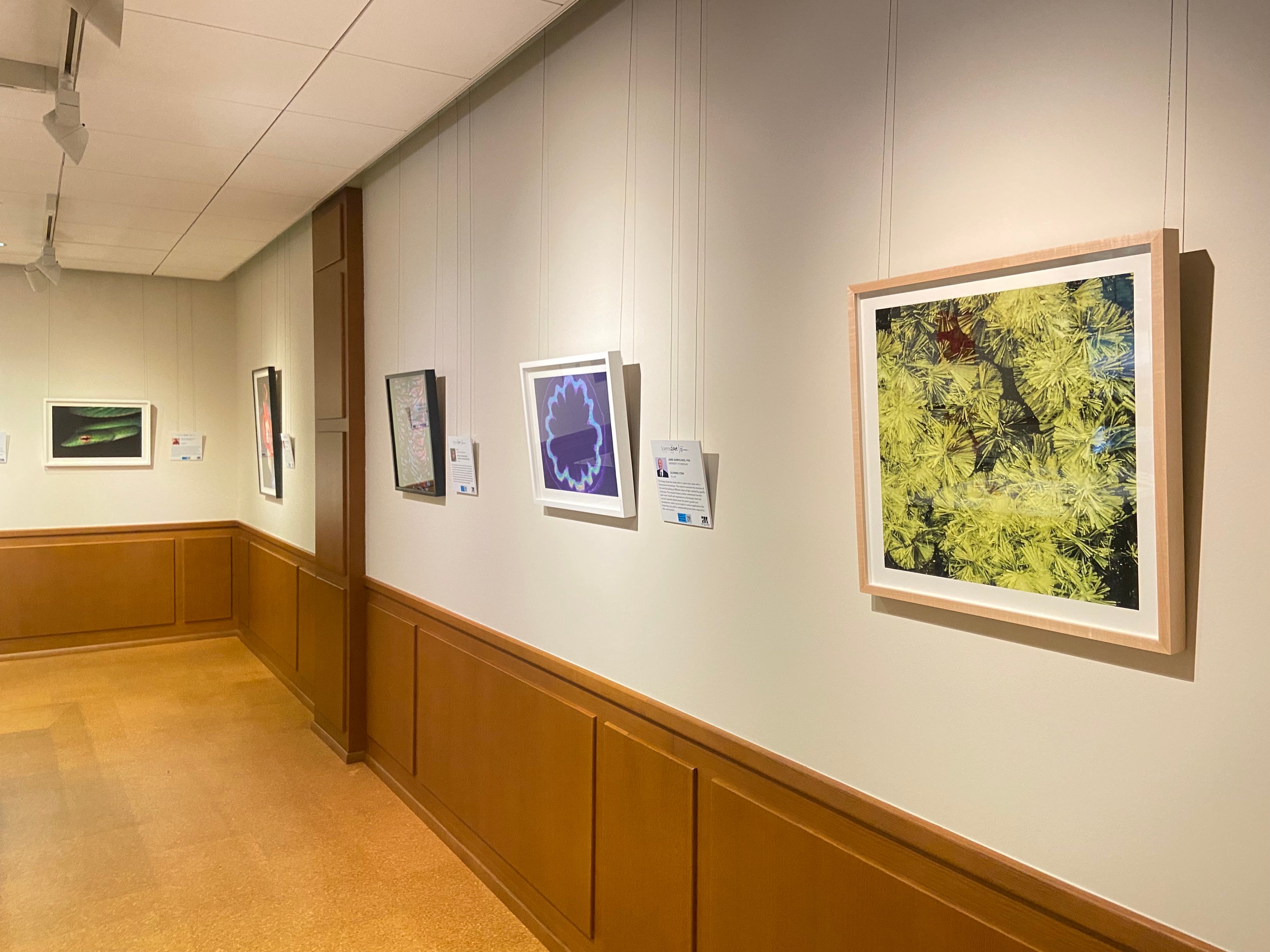 Science2Art 2023 gallery