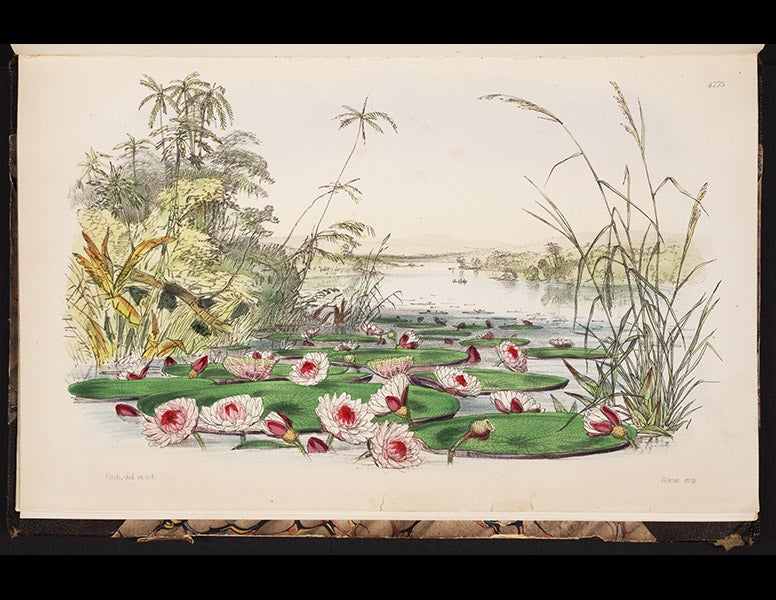 1120_001, 6/4/18, 8:46 AM,  8C, 5270x8000 (729+0), 100%, Custom,  1/60 s, R80.3, G65.6, B76.8