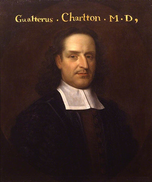 Portrait of Walter Charleton, oil on canvas by unknown artist, 1670s, Royal College of Physicians, London (artuk.org)