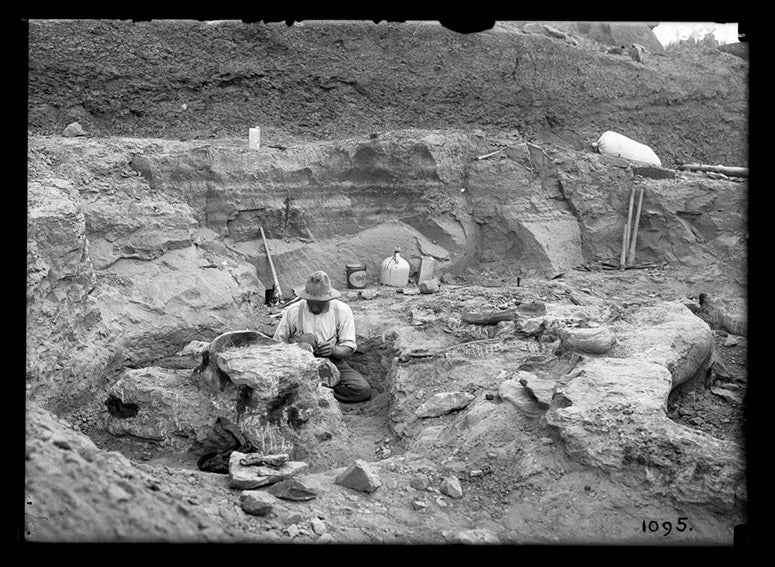 Peter Kaisen at work in the dinosaur beds at Hell Creek, Montana, photograph, 1908, by Barnum Brown (digitalcollections.amnh.org)