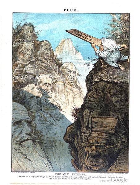 “Evolution Sermons” cartoon, by Eugene Zimmerman, Puck Magazine, June 3, 1885 (books.google.com)