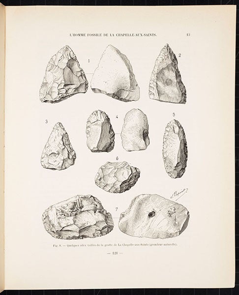 Mousterian prepared-core tools found in the cave of La Chapelle-aux-Saints, lithograph in “L’Homme fossile de La Chapelle-aux-Saints,” by Marcellin Boule, Annales de Paleontologie, vol. 6, 1911 (Linda Hall Library)