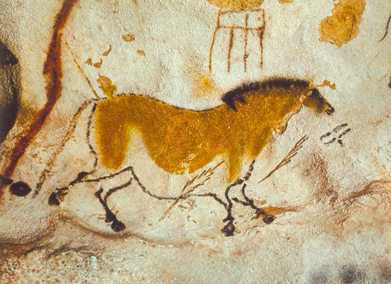 Pleistocene horse, probably Equus przhevalskii , painted on the walls of the cave at Lascaux, Dordogne, France (historytoday.com)