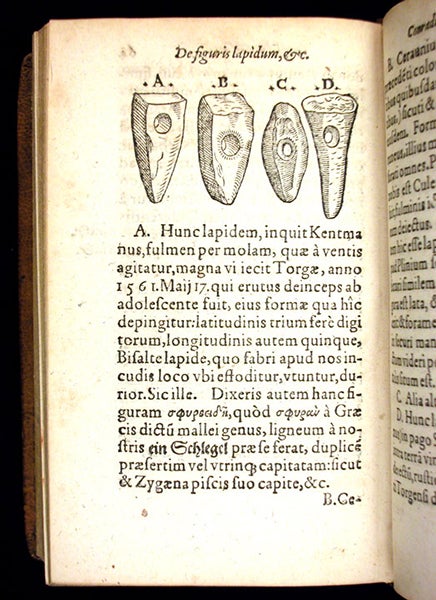 Cerauniae, or thunderstones (now known to be prehistoric stone tools), woodcut in De rerum fossilium, by Conrad Gessner, 1565 (Linda Hall Library)