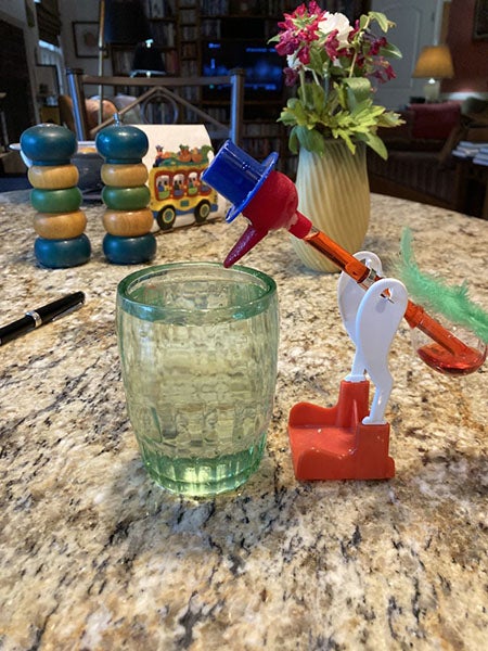 A Drinking Bird in action (photo by the author)