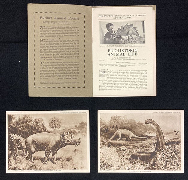 “Prehistoric Animal Life,” issue of The Mentor for Aug. 15, 1917, with the first page of the text by William D. Matthew, and two plates of paintings by Charles Knight, both at the American Museum of Natural History (author’s collection)