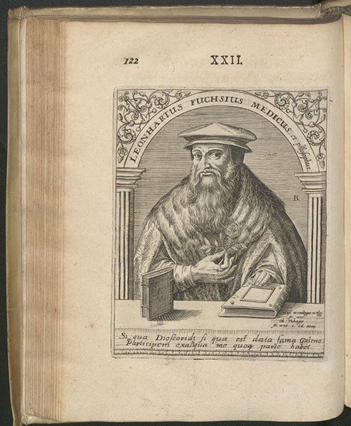 Portrait of Leonhart Fuchs, engraving by Theodor de Bry, in Icones quinquaginta virorum illustrium, by Jean-Jacques Boissard, vol. 4, p. 122, 1597-99 (Linda Hall Library)