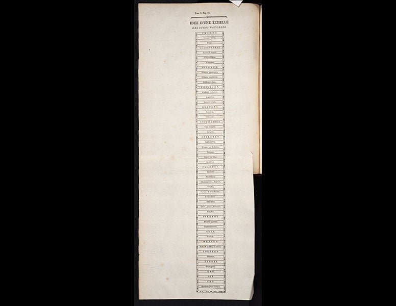 <p>Linda Hall Library</p>