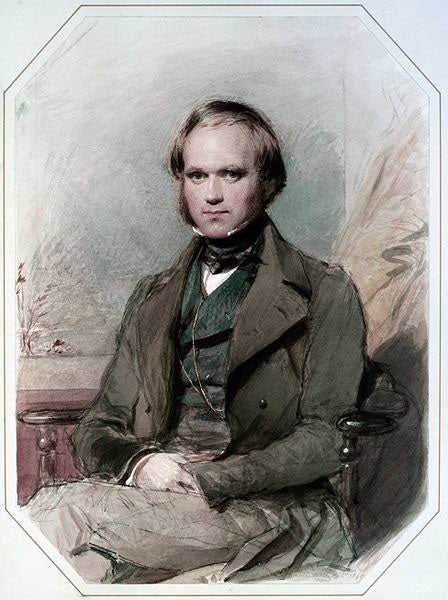 Charles Darwin, wedding portrait by George Richmond, chalk and watercolor, 1840 (Wikipedia)