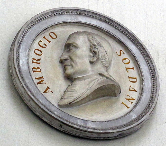 Portrait medallion of Ambrogio Soldani, Museo di Storia Naturale, Florence (Wikimedia commons)