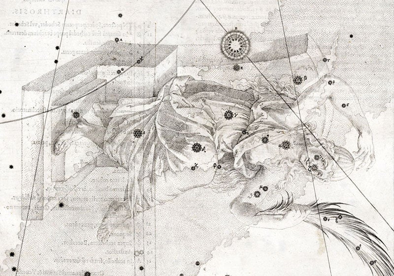 Detail of the star map of the constellation Cassiopeia, Johann Bayer, Uranometria, plate 10, 1603; the large symbol at top center marks the position of Tycho Brahe’s new star of 1572 (Linda Hall Library)