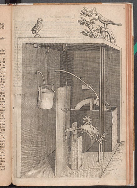 Hydraulic singing bird, engraving, Salomon de Caus, Les raisons des forces mouvantes, 1615 (Linda Hall Library)