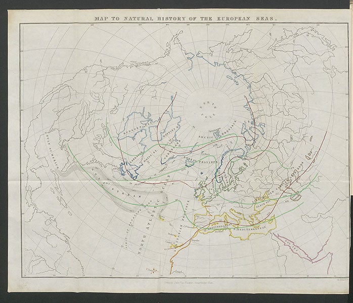 Map of oceanic provinces, hand-colored engraved frontispiece, The Natural History of the European Seas, by Edward Forbes and Robert Godwin-Austen, 1859 (Linda Hall Library)