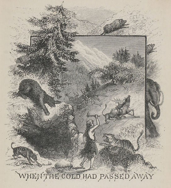 Headpiece to chapter 12, “When the Cold Had Passed Away,” detail of wood engraving by Theo Carreras, Winners in Life's Race, or the Great Backboned Family, by Arabella Buckley, 1882 (Linda Hall Library)