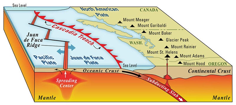 A diagram of the Cascadia earthquake zone, where the Juan de Fuca plate subducts the North American plate (usgs.gov)