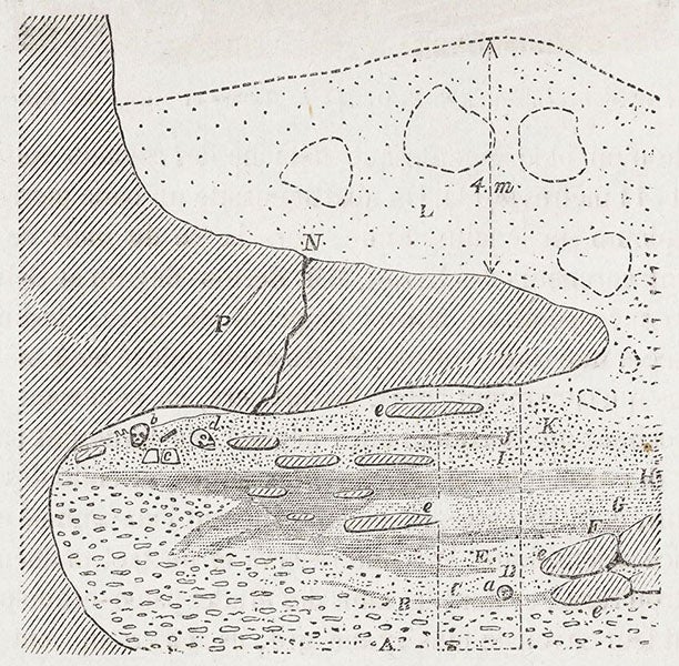 Diagram of the Cro-Magnon rock shelter at Les Eyzies; the skulls at “b” and “d” mark the location of the skeletons, “Memoire sur une sepultre des anciens troglodytes de Perigord," by Louis Lartet, Annales des sciences naturelles, 5th ser., Zoologie et Paleontologie, 1868, vol. 10, p. 138, 1868 (Linda Hall Library)