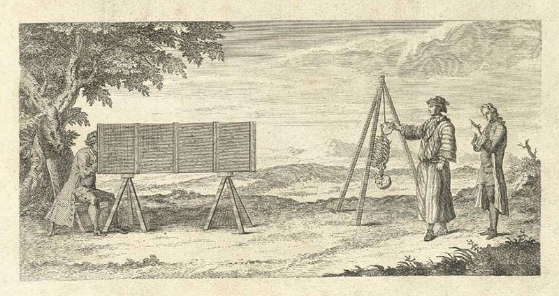 Title-page vignette, showing the use of a camera obscura in drawing the bones, engraving in Osteographia, or the Anatomy of the Bones, by William Cheselden, 1733, National Library of Medicine (nlm.nih.gov)