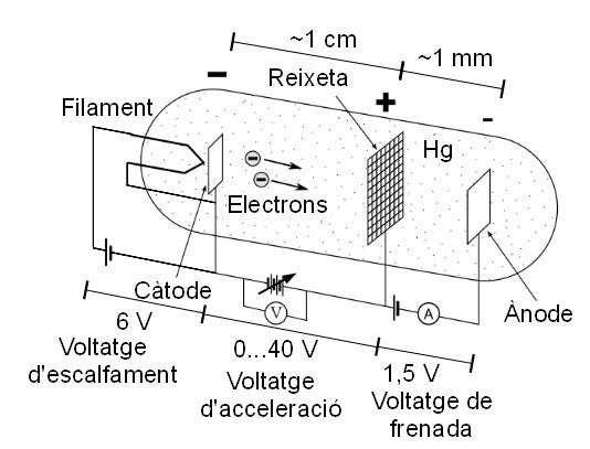 Modern diagram of the Franck-Hertz experiment (with the text in Catalan – sorry) (Wikimedia commons)